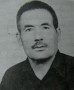 shahid rostami