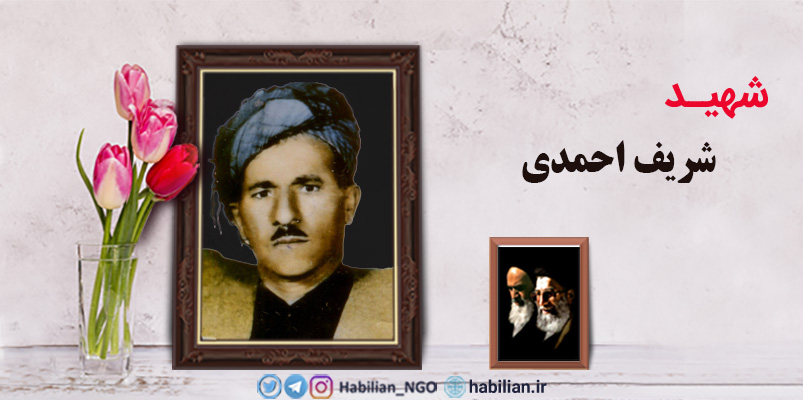 شهید شریف احمدی