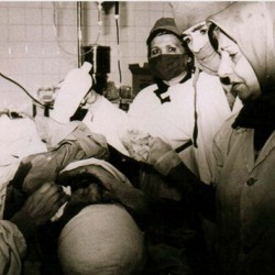 1mofateh  33 